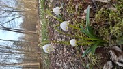 20200315_162939.jpg